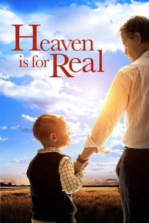 Heaven Is for Real (2014) Dual Audio | Hindi Full Movie BluRay 300MB