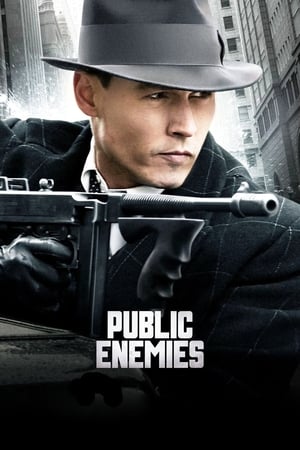Public Enemies (2009) Dual Audio Movie | Hindi Full Movie BluRay - 1.1GB