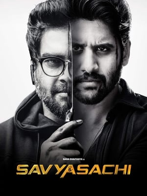 Savyasachi (2018) Dual Audio | Hindi Full Movie UnCut HDRip 450MB