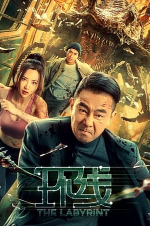 The Labyrinth (2022) Dual Audio HDRip | Hindi Full Movie – 480p